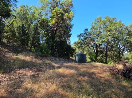 1447 Shining Moon Ln, Georgetown, CA 95634 Photo