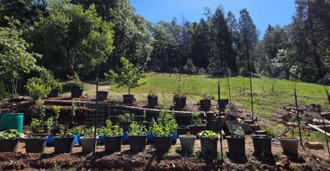 1447 Shining Moon Ln, Georgetown, CA 95634 Photo