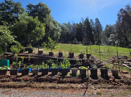 1447 Shining Moon Ln, Georgetown, CA 95634 Photo