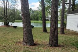 8977 N Red Maple Circle photo 4