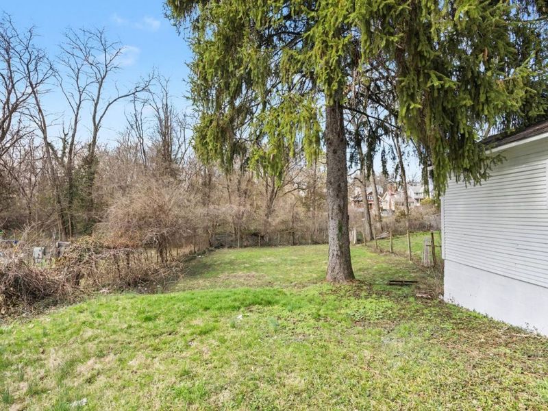 741 Mcpherson Avenue, Cincinnati, OH 45205 Photo 21