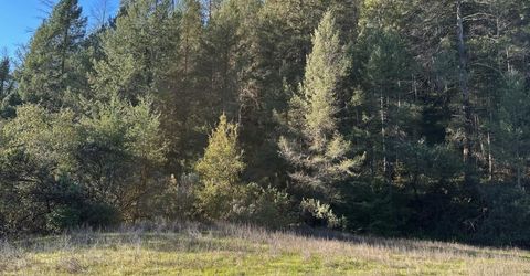 0 Tree Top Lane, Auburn, CA 95603 Photo