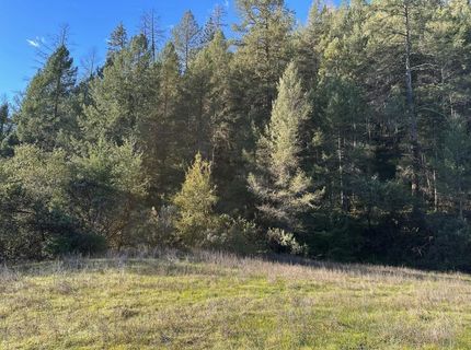 0 Tree Top Lane, Auburn, CA 95603 Photo
