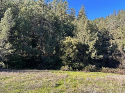 0 Tree Top Lane, Auburn, CA 95603 Photo