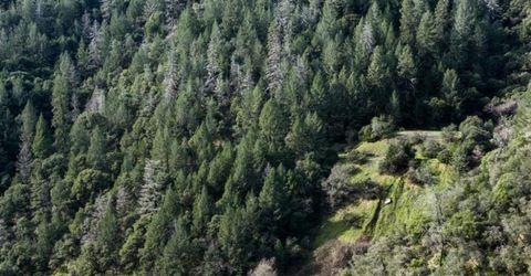 0 Tree Top Lane, Auburn, CA 95603 Photo