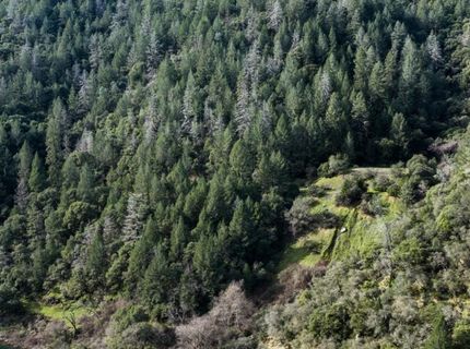 0 Tree Top Lane, Auburn, CA 95603 Photo