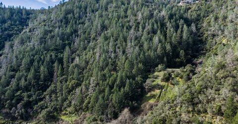 0 Tree Top Lane, Auburn, CA 95603 Photo