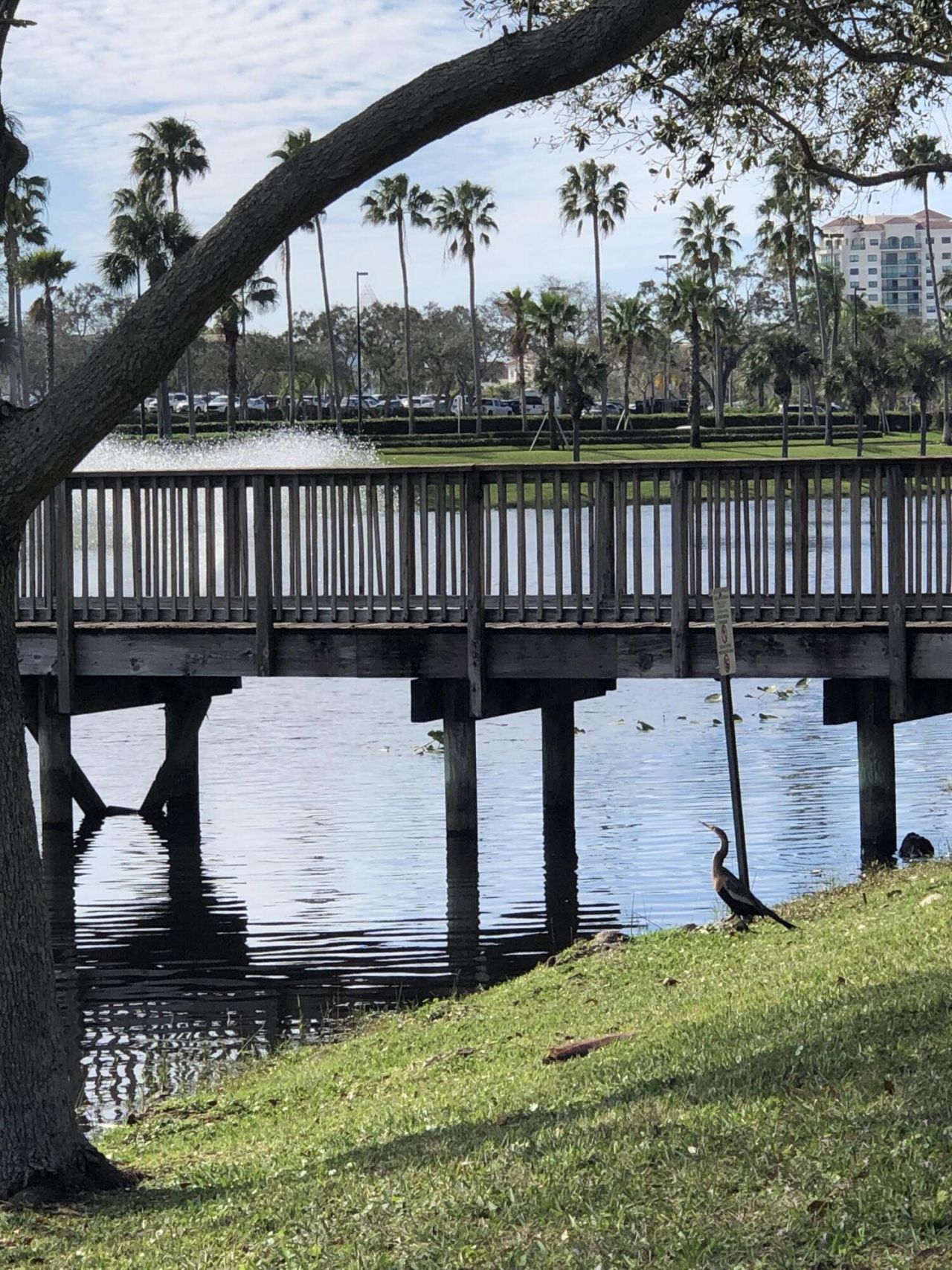 3023 Alcazar Place, Unit 305, Palm Beach Gardens, FL 33410 Photo