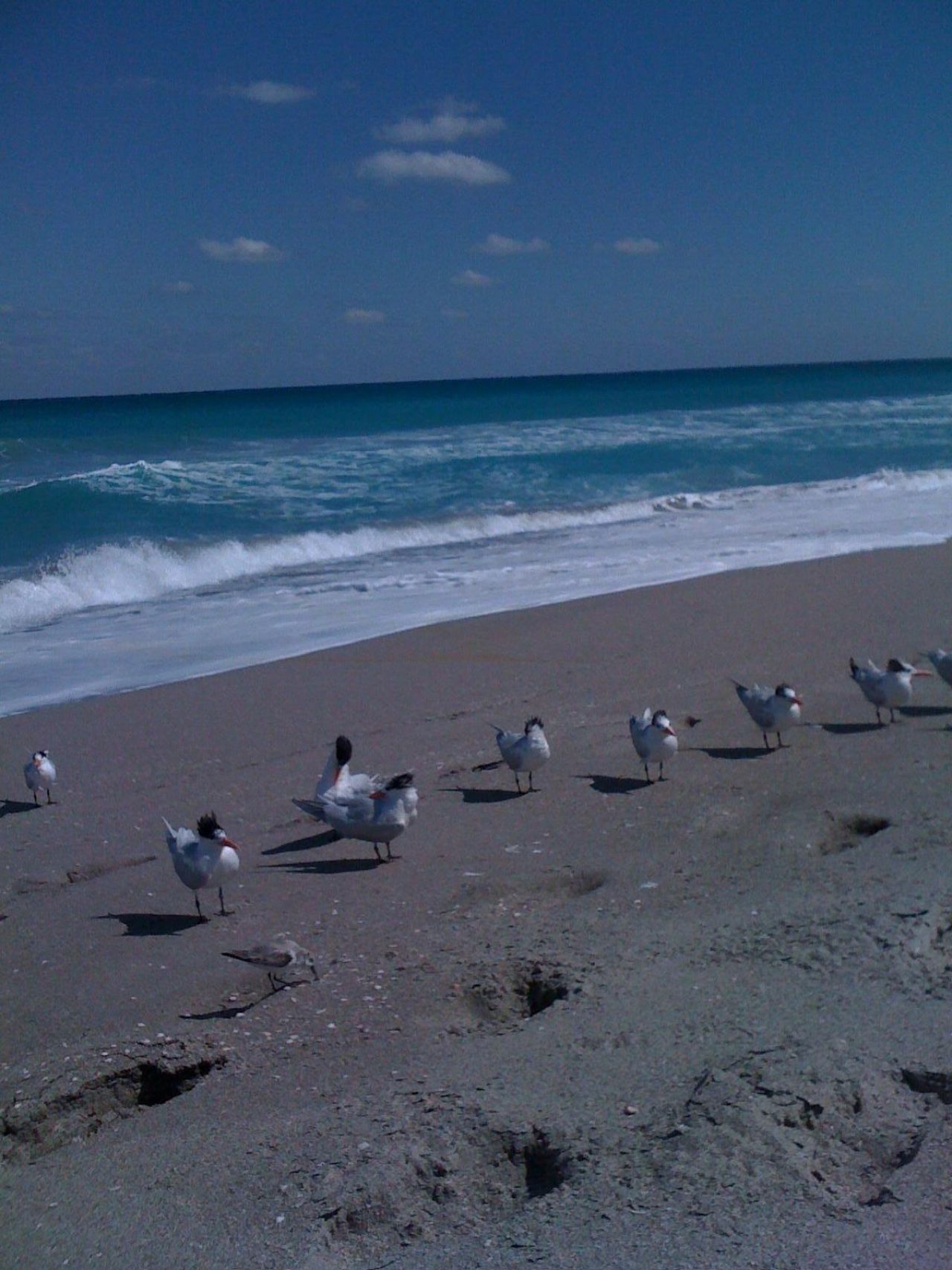 3023 Alcazar Place, Unit 305, Palm Beach Gardens, FL 33410 Photo