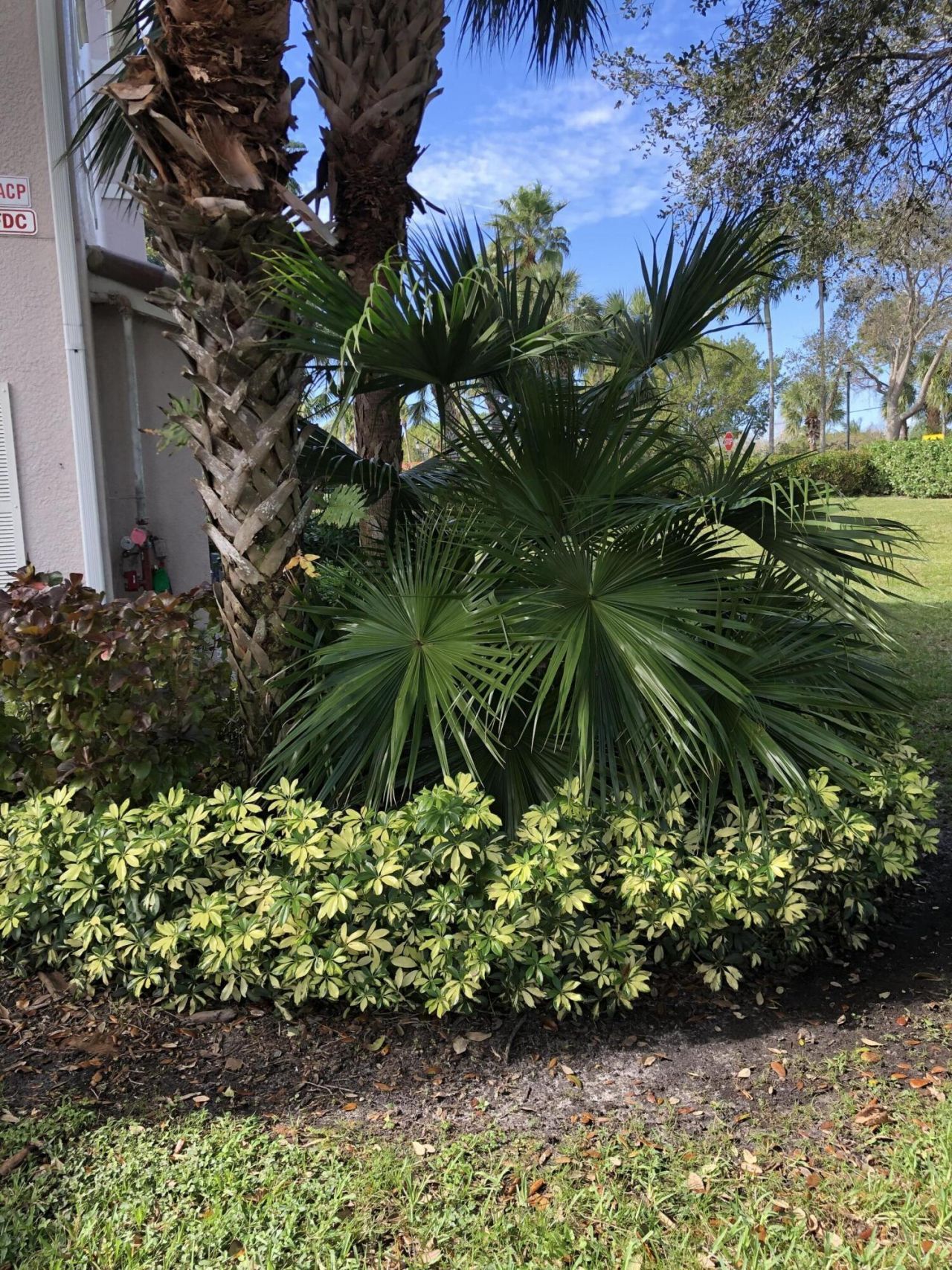 3023 Alcazar Place, Unit 305, Palm Beach Gardens, FL 33410 Photo