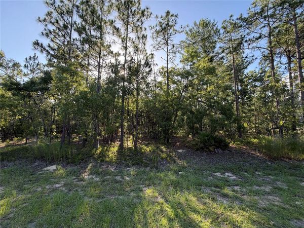 2005 CR 243E , WILDWOOD, FL 34785