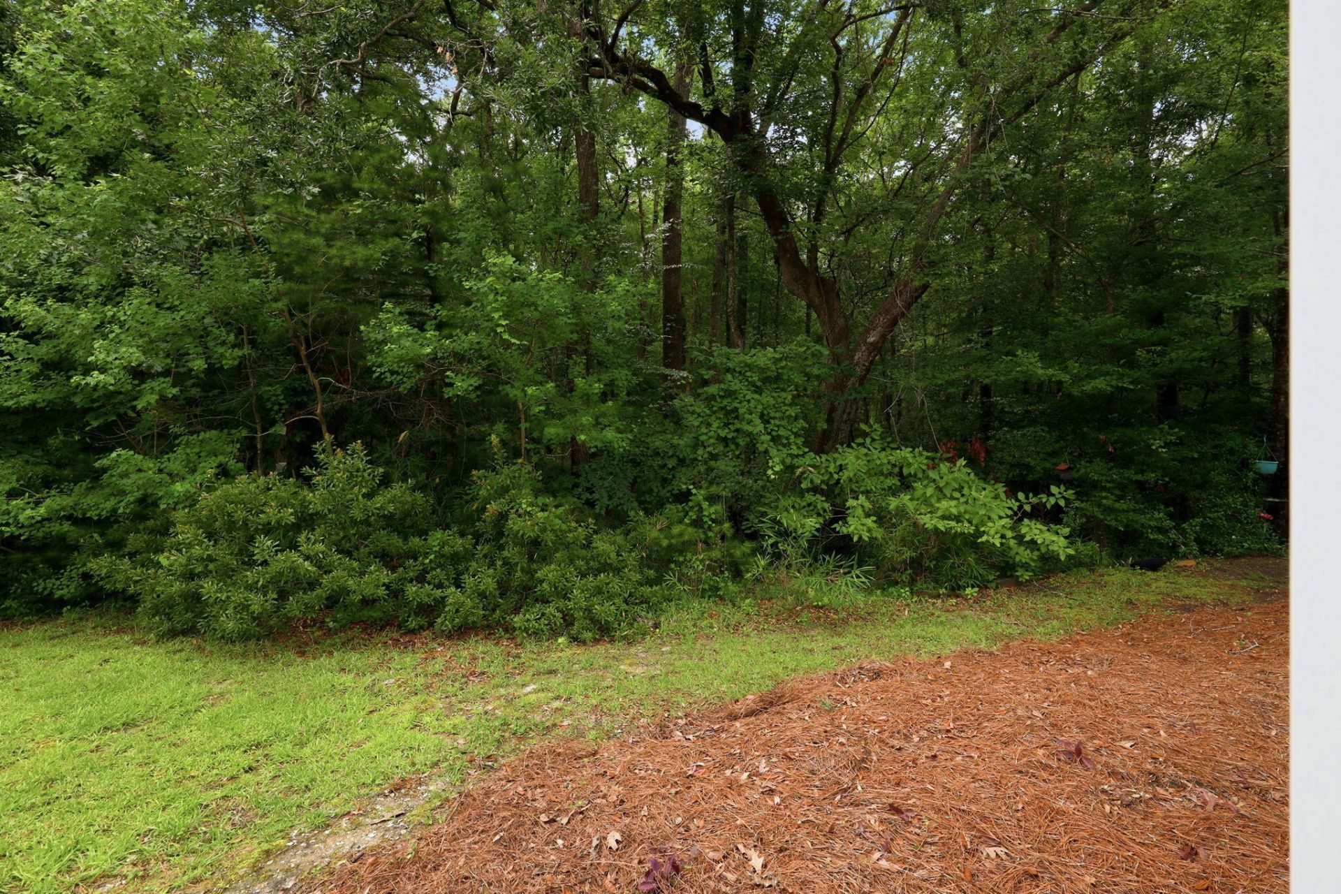 3318 Conservancy Lane Photo 38