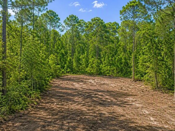 116 Terri Ave, Georgetown, FL 32139