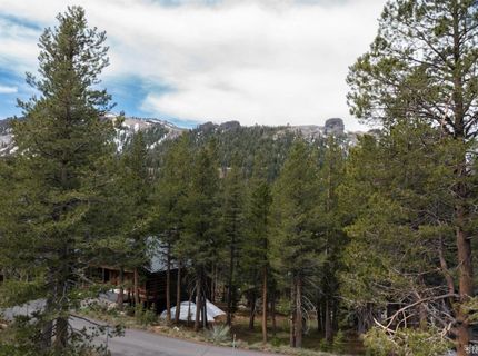 665 Columbine Circle, Kirkwood, CA 95646 Photo