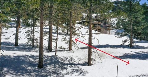 665 Columbine Circle, Kirkwood, CA 95646 Photo