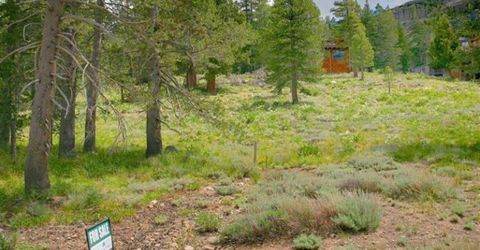 665 Columbine Circle, Kirkwood, CA 95646 Photo