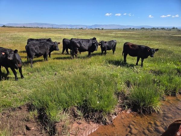 5000 N, Roosevelt, UT 84066
