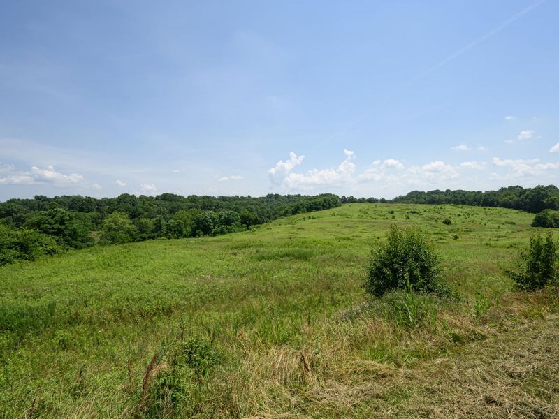 0 KY 1039, Sanders, KY 41083 Photo 25