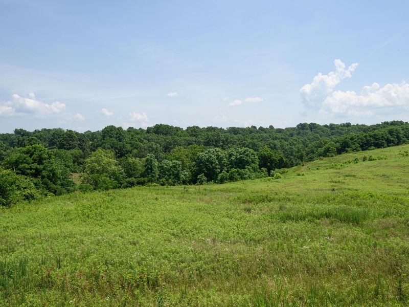 0 KY 1039, Sanders, KY 41083 Photo 26