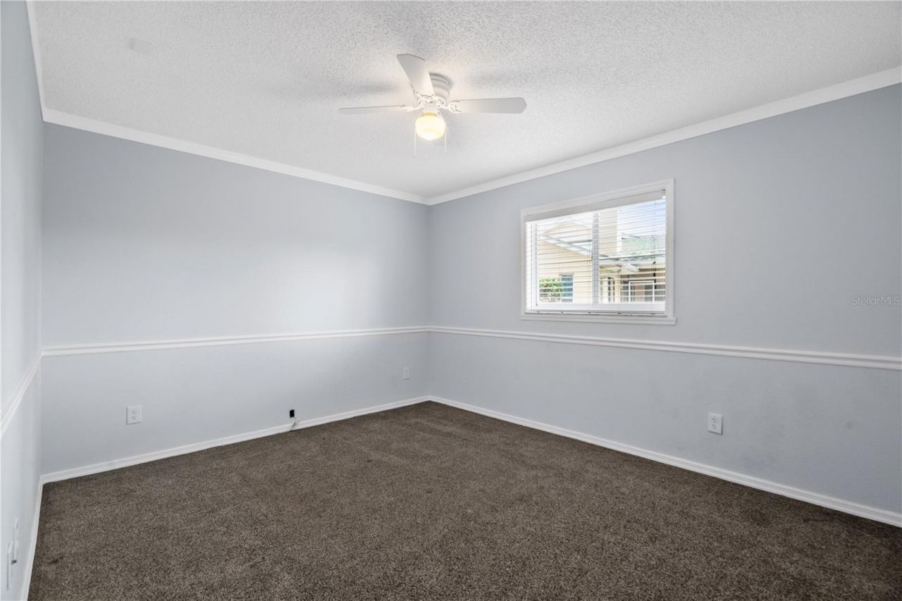 1174 Muscovy Drive , Spring Hill, FL 34608 Photo