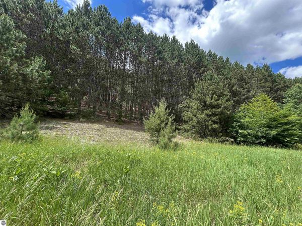 6 Wildwood Trail, Mancelona, MI 49659