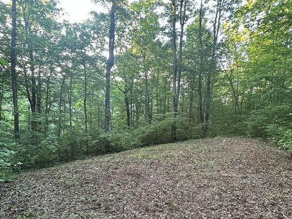 Lot 52 W Bobcat Lane, Wilder, TN 38589
