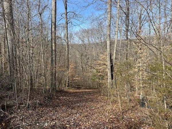 Lot 52 W Bobcat Lane, Wilder, TN 38589