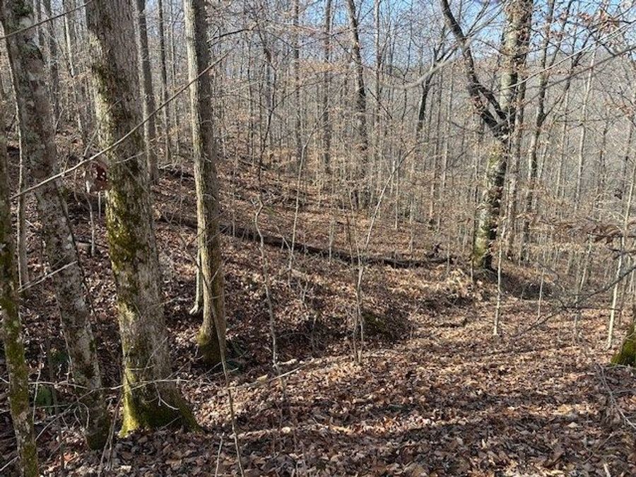 Property Image 18