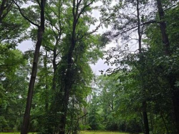 0 COOPER ROAD , EDEN, MD 21822