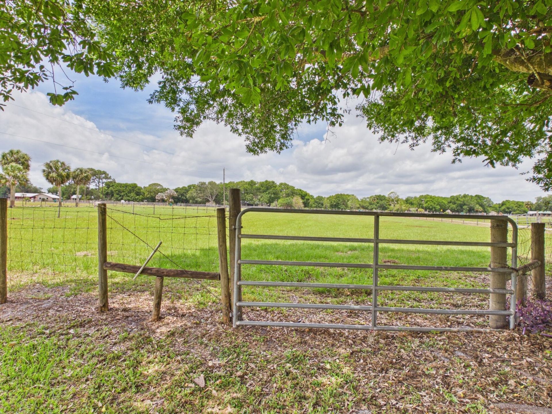 220 SW 67th Drive, Okeechobee, FL 34974 Photo