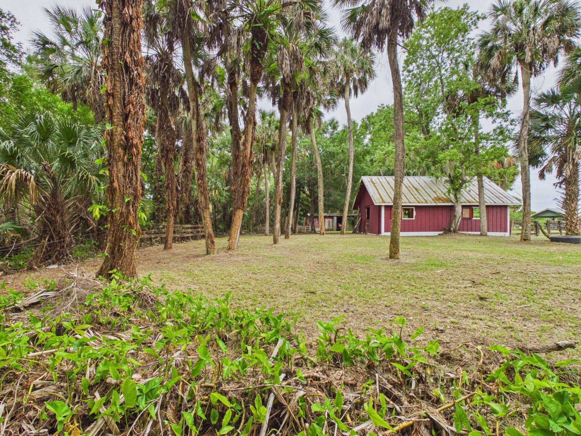 220 SW 67th Drive, Okeechobee, FL 34974 Photo