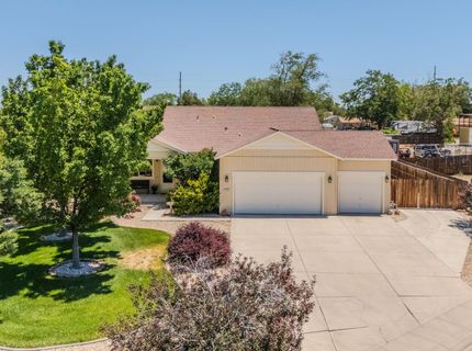 1319 Winnies Lane, Fernley, NV 89408 Photo