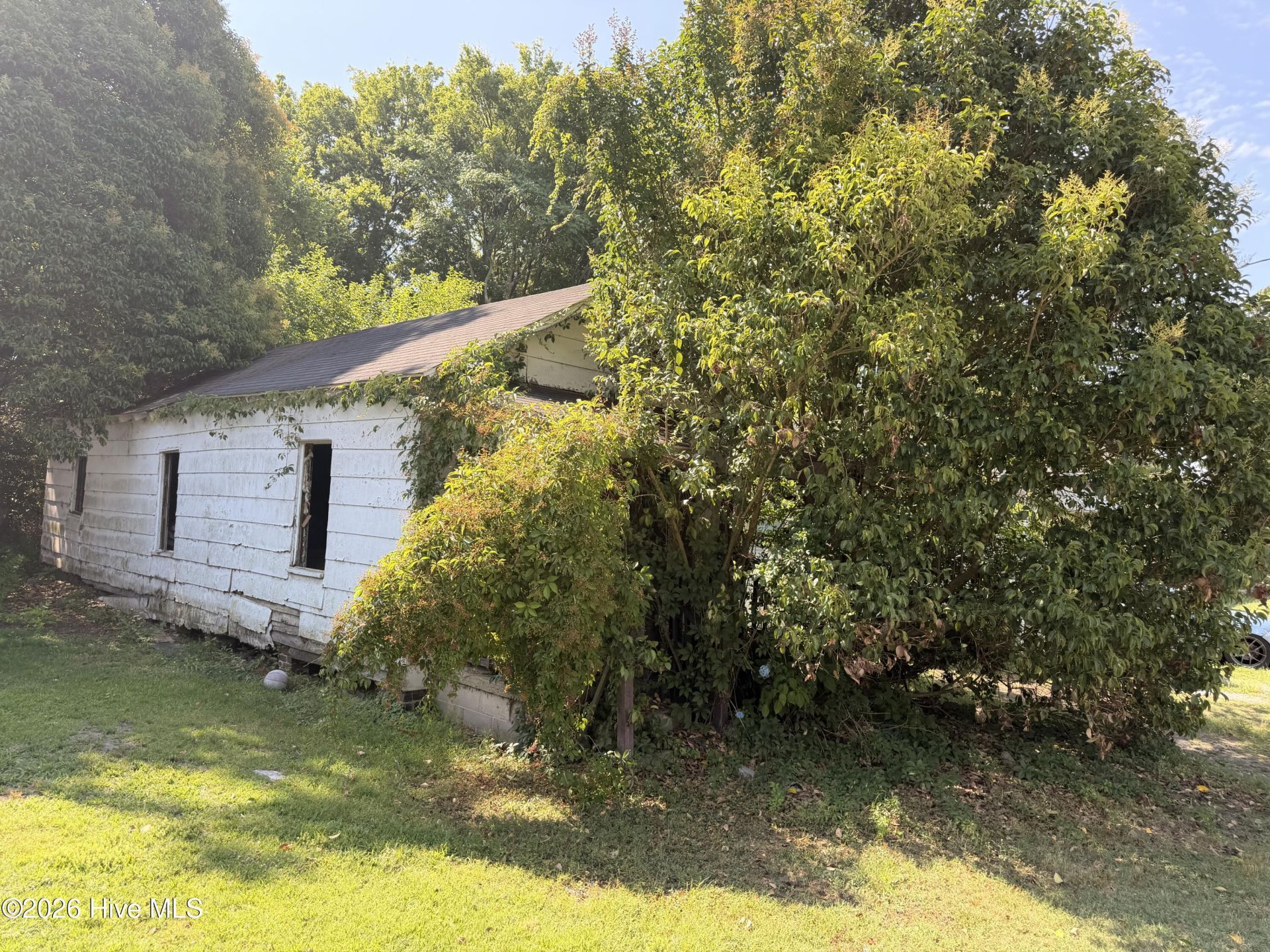 503 Grace Street S, Wilson, NC 27893 Main Photo
