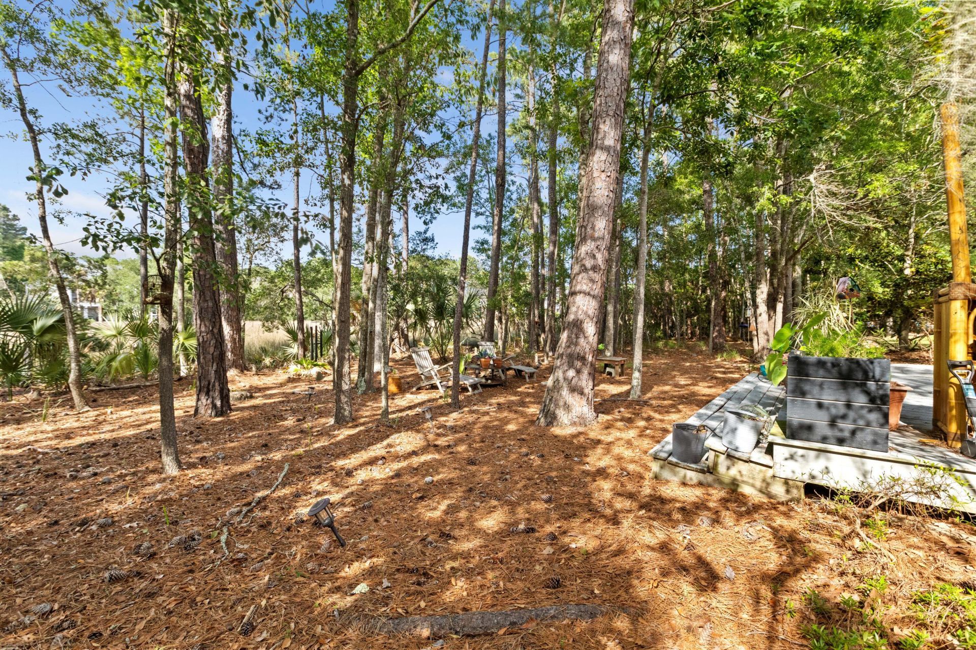 1927 Palmetto Isle Drive Photo 41