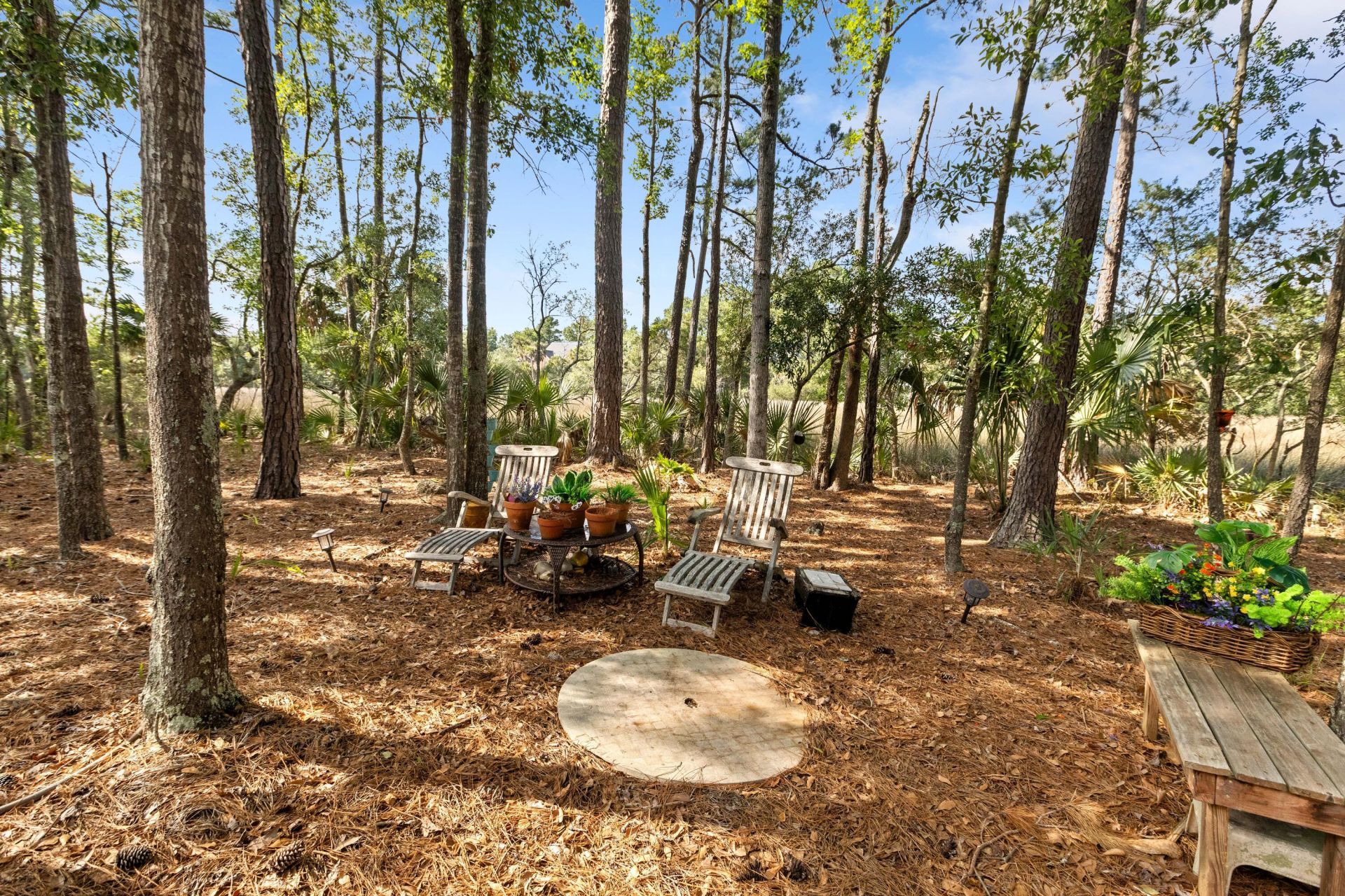 1927 Palmetto Isle Drive Photo 43