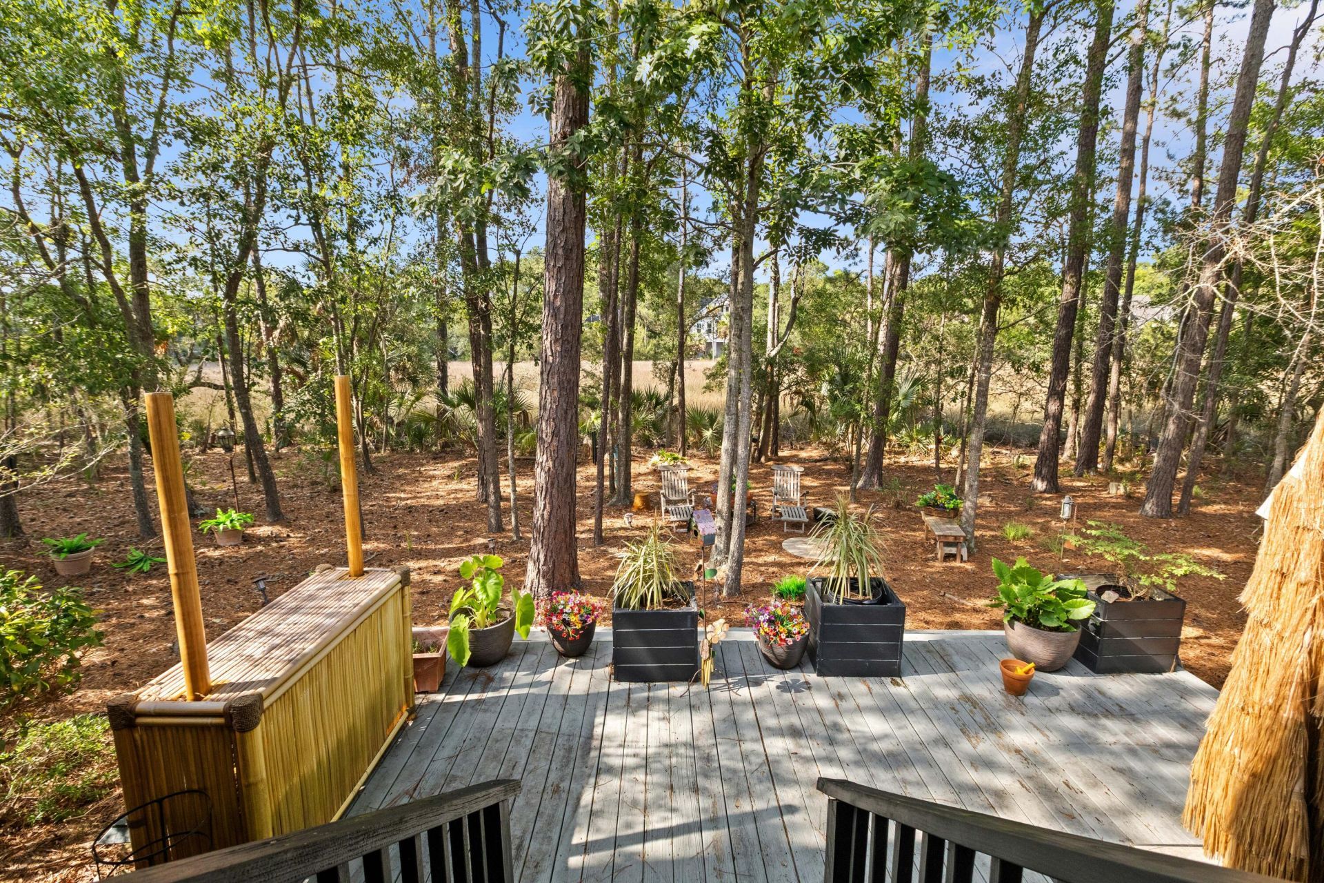 1927 Palmetto Isle Drive Photo 47