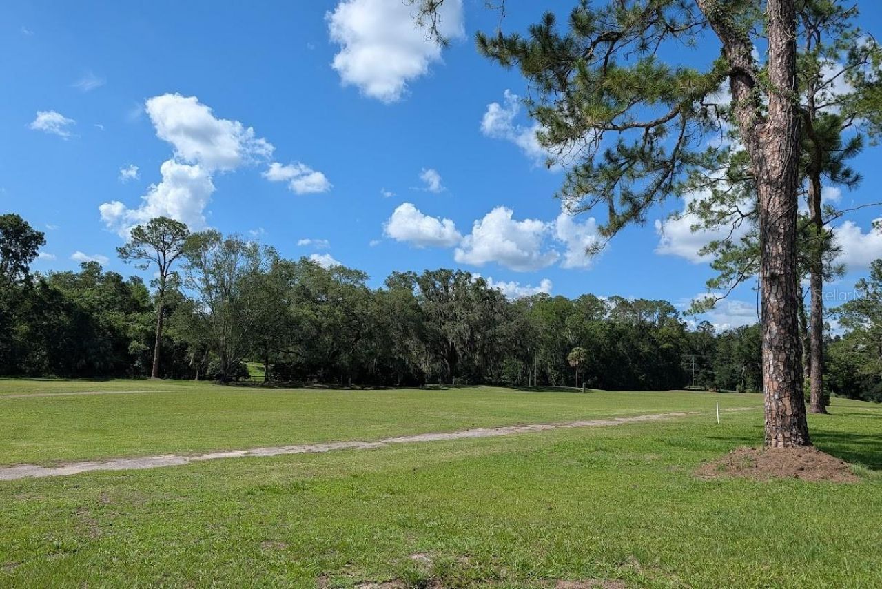3302 SW 62nd Lane, Gainesville, FL 32608 Photo
