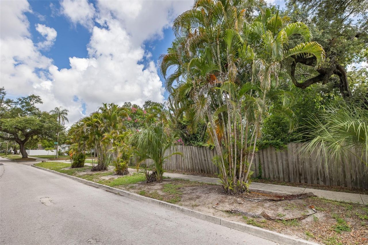 1005 15th Street N, Saint Petersburg, FL 33705 Photo