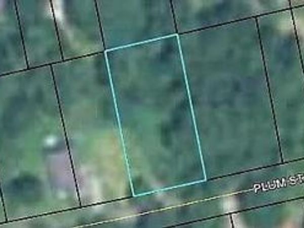 145 Plum Street , Haddock, GA 31032