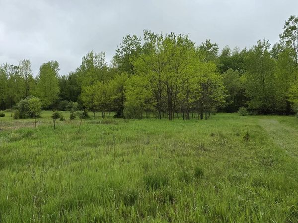 VL St Clair Circle, Brooklyn, MI 49230
