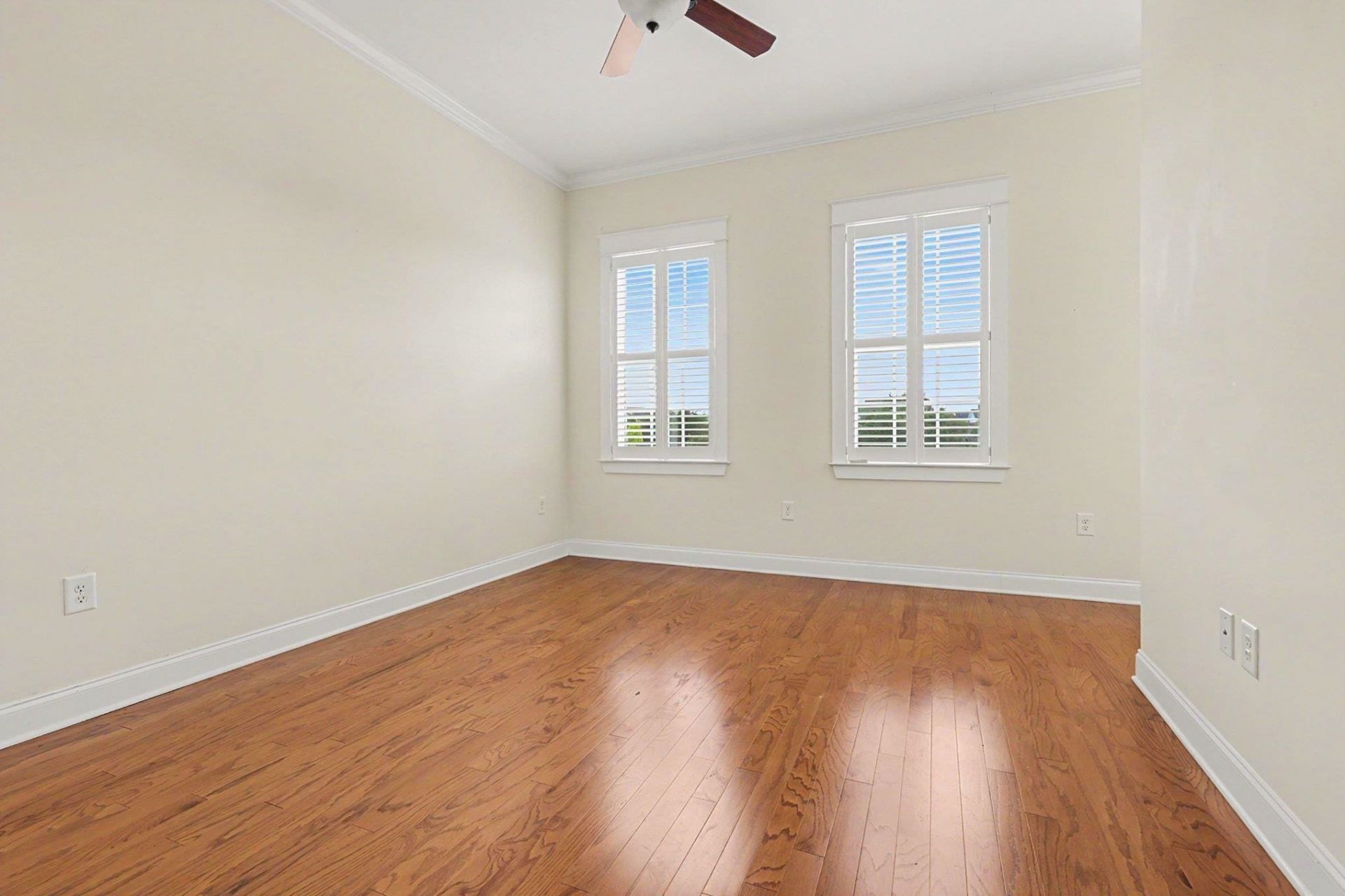853 Peterson St. Photo 24