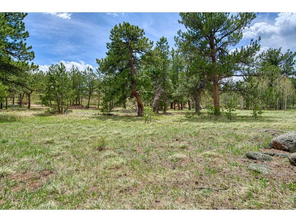 73 Sparn Way, Ward, CO 80481