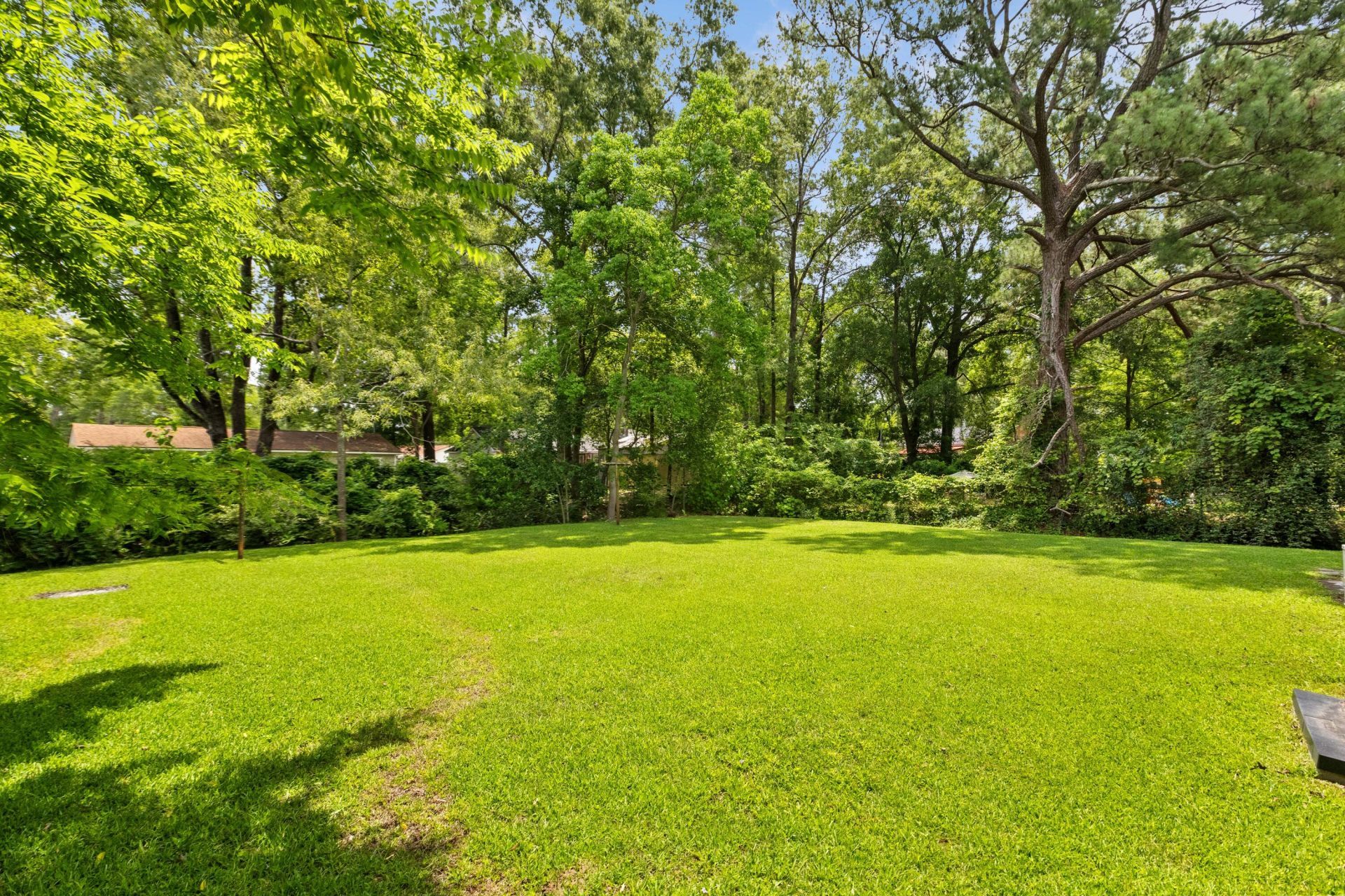 356 Price Street Photo 25