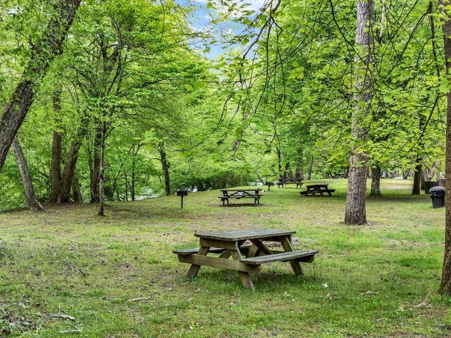 Property Image 74