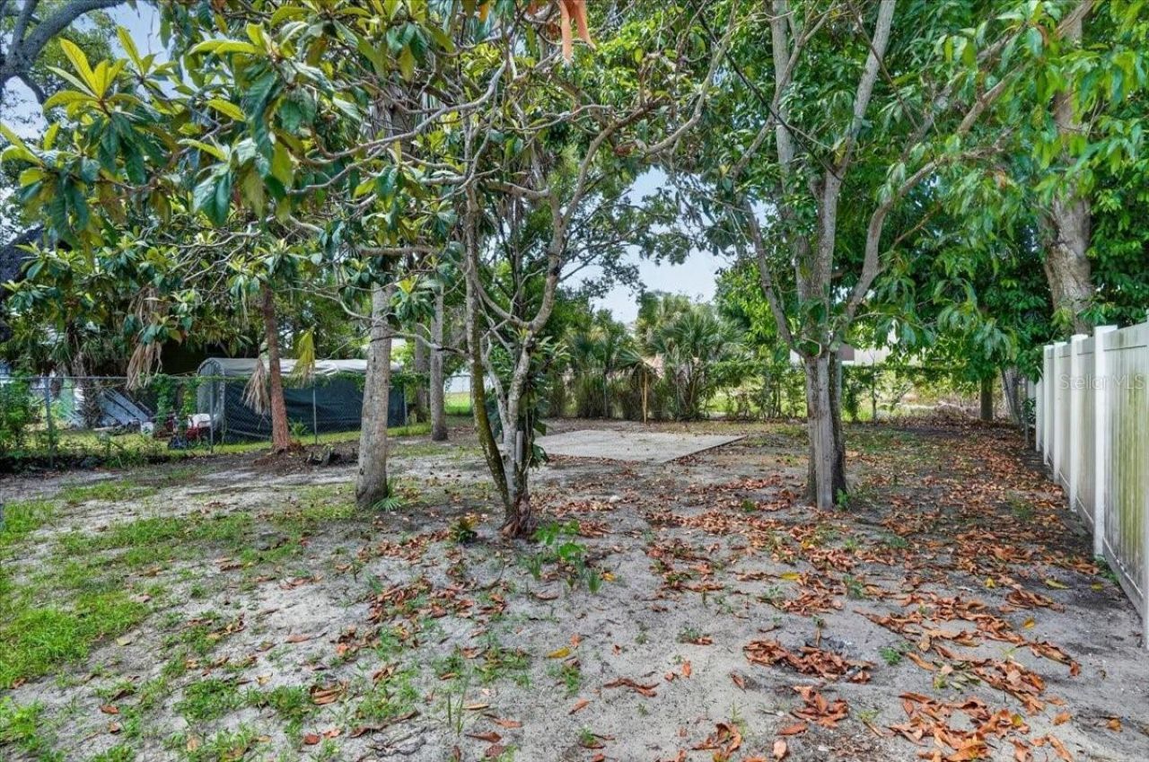 950 26th Avenue S, Saint Petersburg, FL 33705 Photo