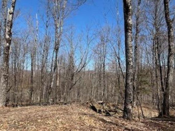 1376 Kingdom Road, Plymouth, VT 05056