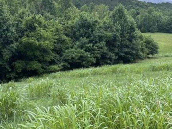 Mill Drive, Decatur, TN 37322