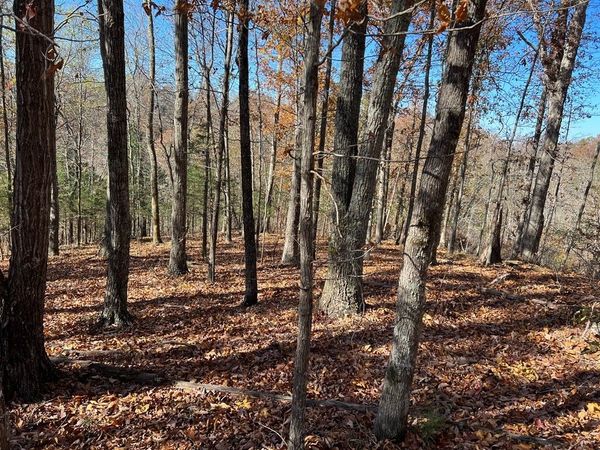 0 Old Hwy 53 , Celina, TN 38551