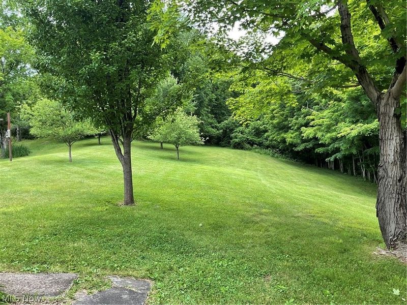 2345 Heldman Road, Wingett Run, OH 45789 Photo 29