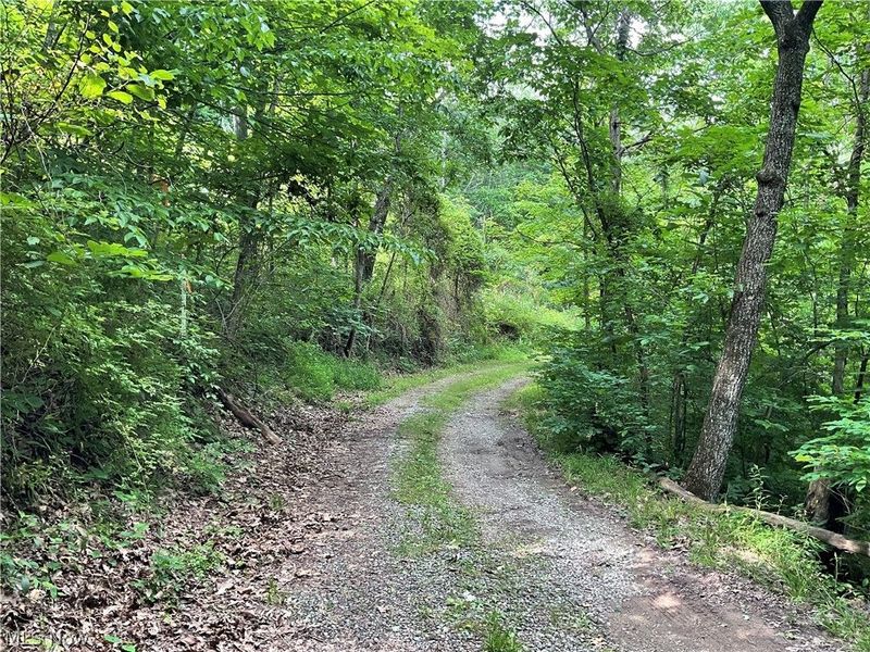 2345 Heldman Road, Wingett Run, OH 45789 Photo 34